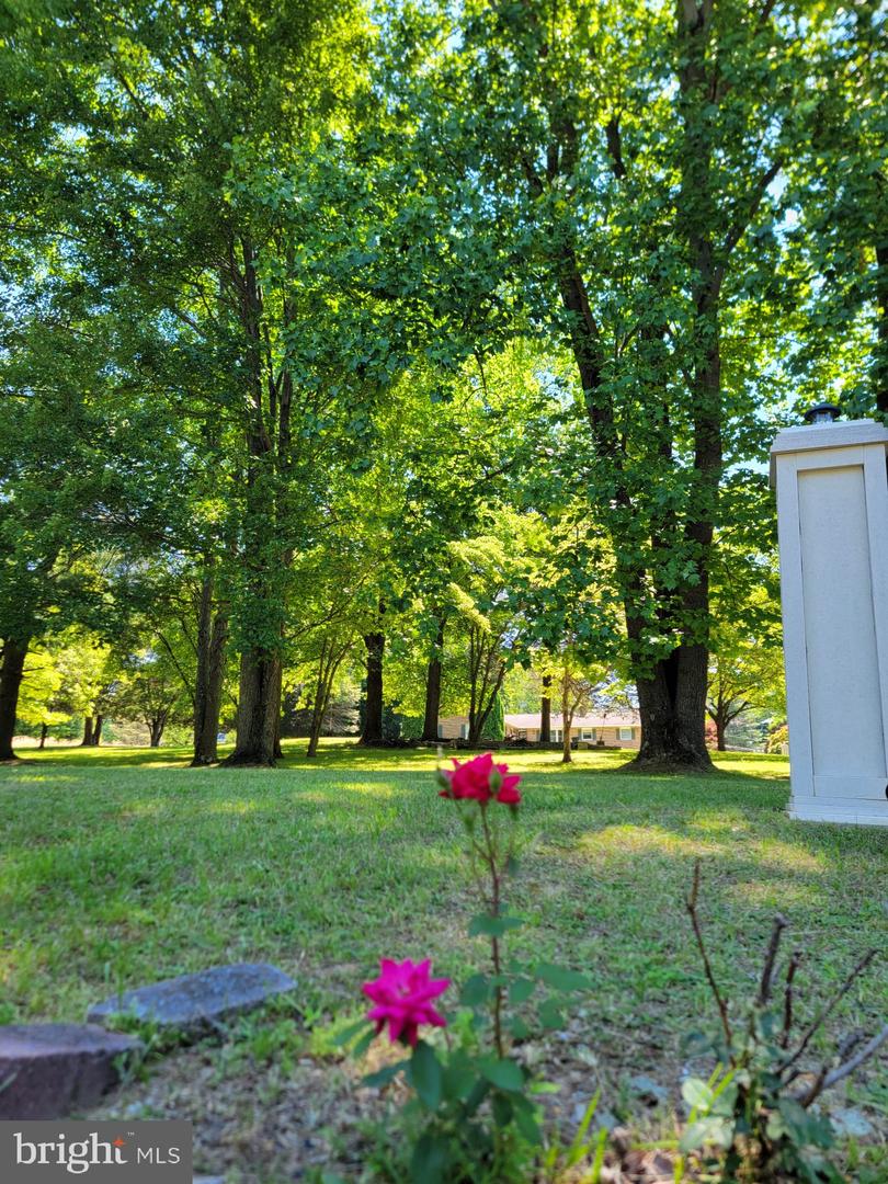 7401 Pindell School Rd Property Photo 42