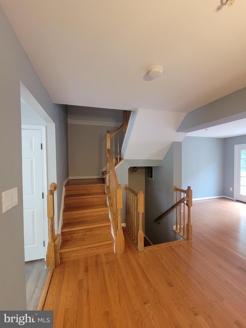 8702 Castlerock Ct Property Photo 26