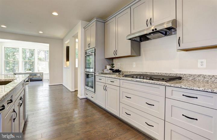 2410 Vineyard Springs Way Property Photo 12