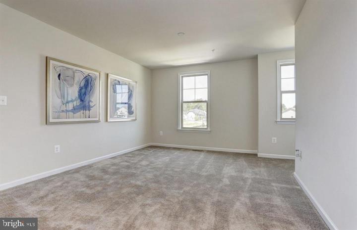 2410 Vineyard Springs Way Property Photo 26