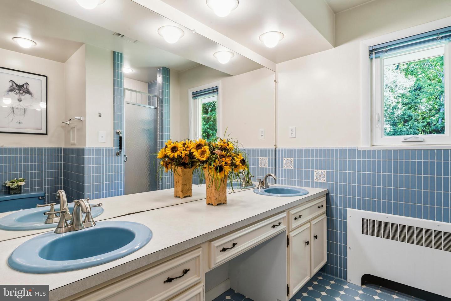 6281 Linkythorn Ln Property Photo 47