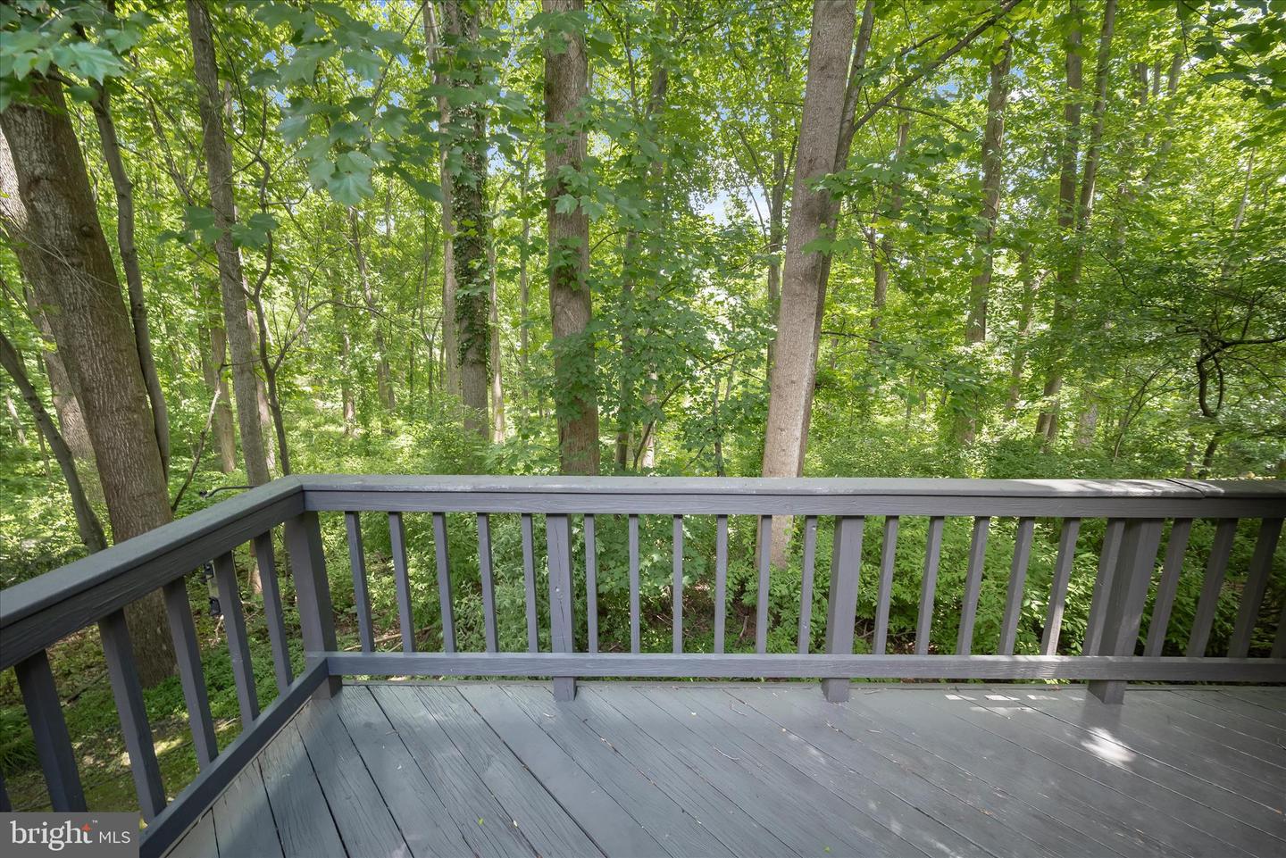 11811 Far Edge Path Property Photo 54