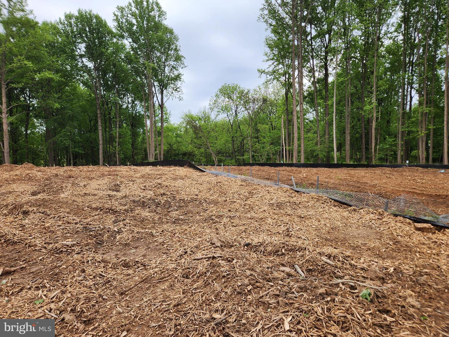 13823 Brighton Dam Rd Property Photo 35