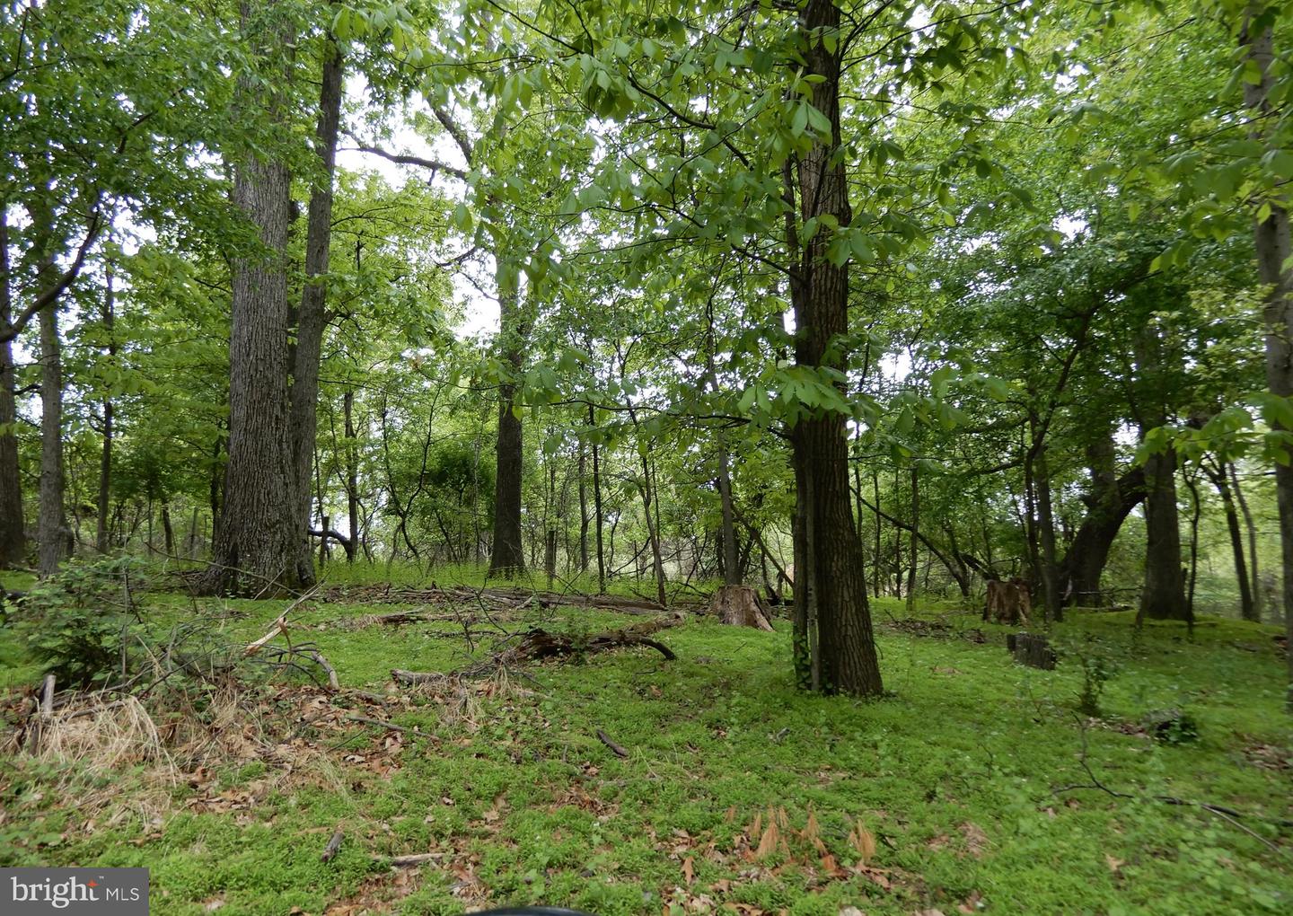 14170 Monticello Dr Property Photo 26