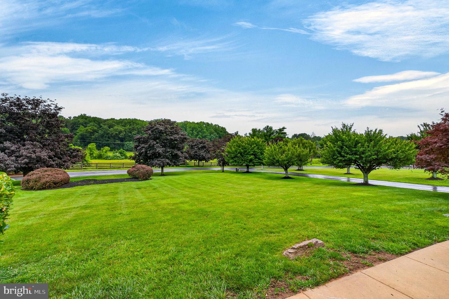 11171 Willow Green Way W Property Photo 45