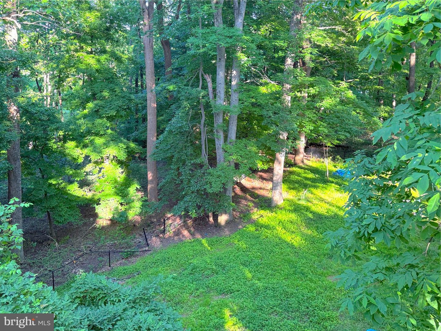 9006 Sidehill Rd Property Photo 52