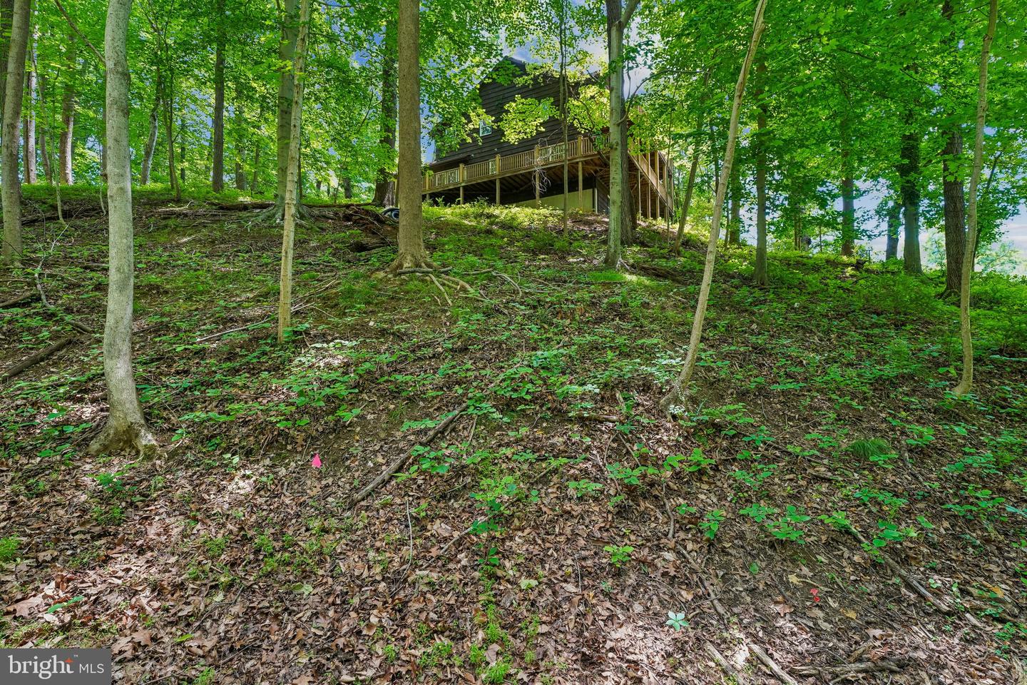 6393 W Rockburn Hill Rd Property Photo 44