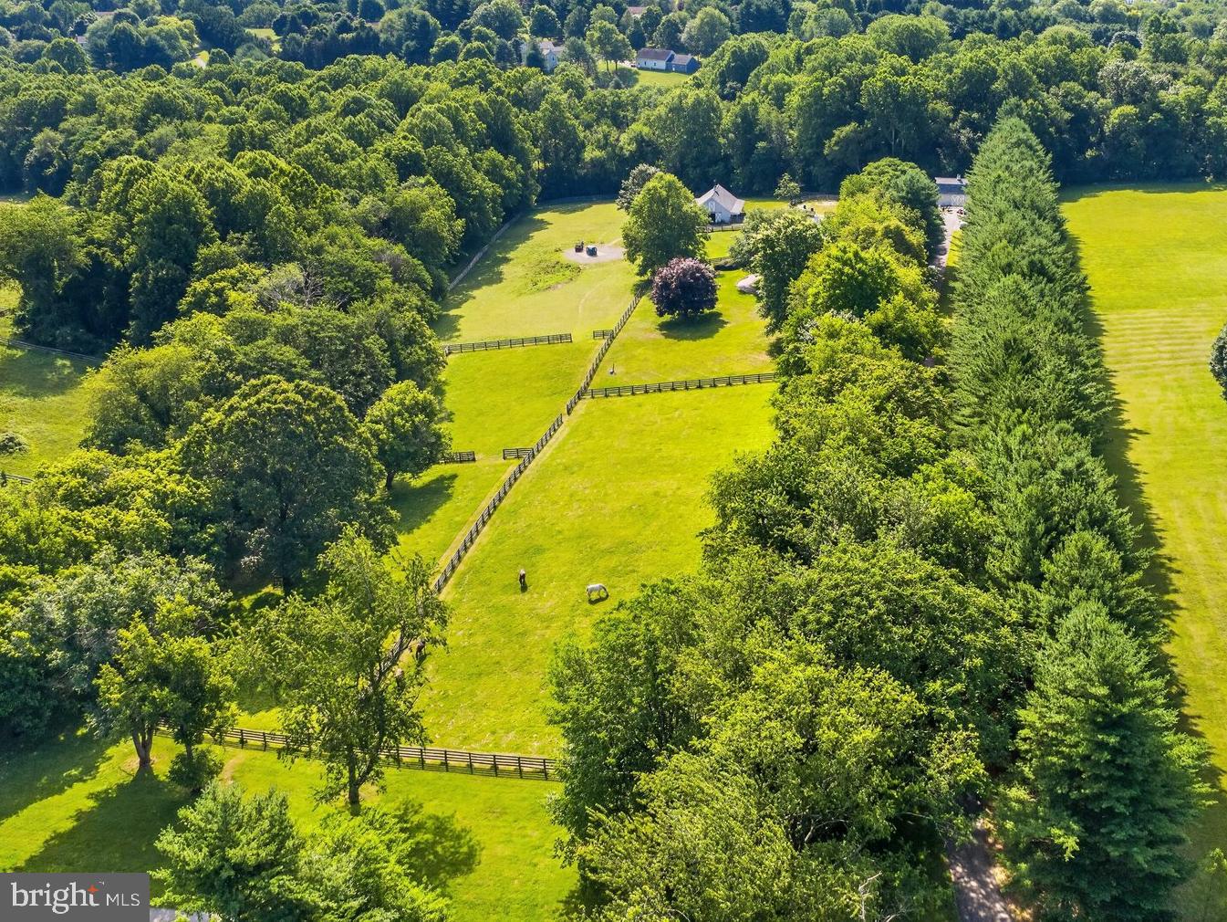 16262 Compromise Ct Property Photo 62