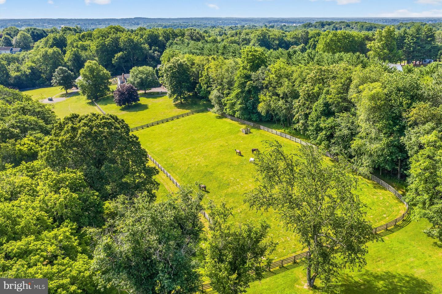 16262 Compromise Ct Property Photo 64