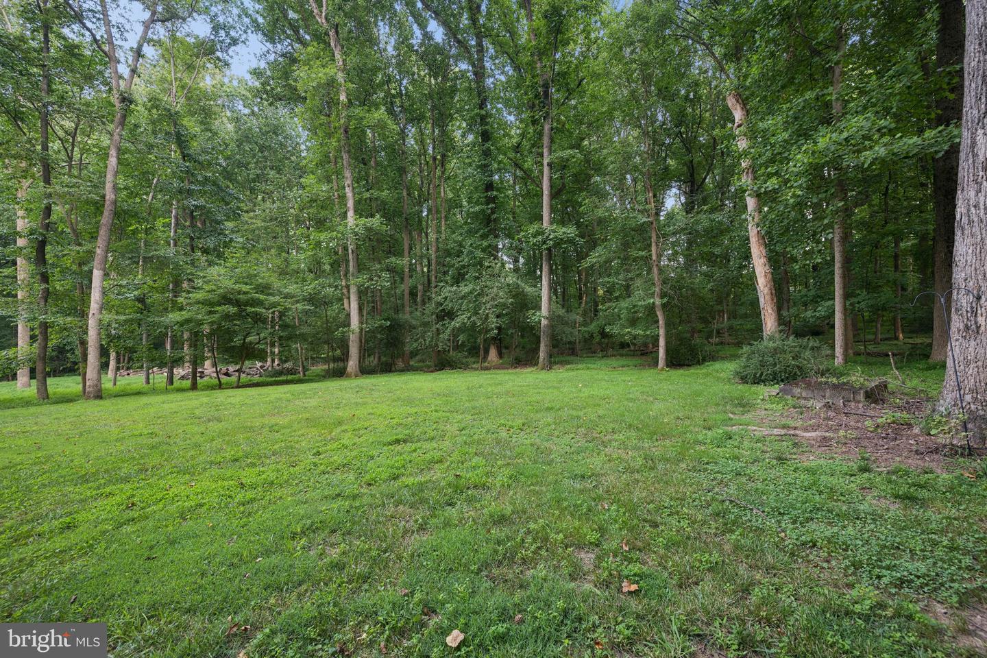 9685 Gwynn Park Dr Property Photo 46