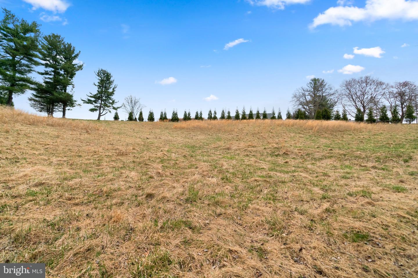 12425 Hill Crst Property Photo 15