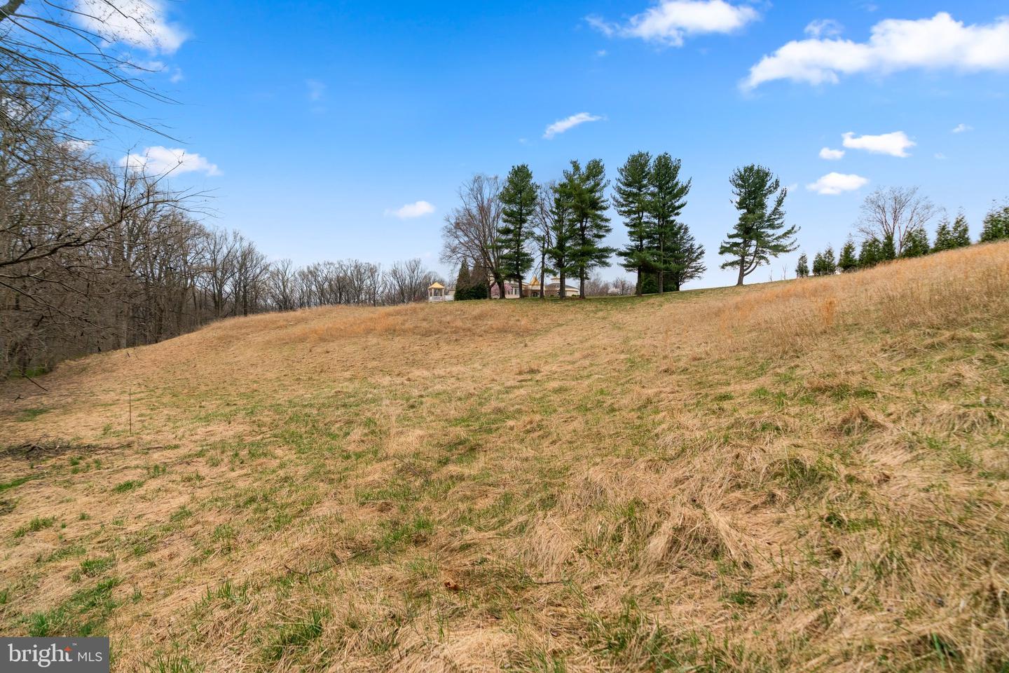 12425 Hill Crst Property Photo 17