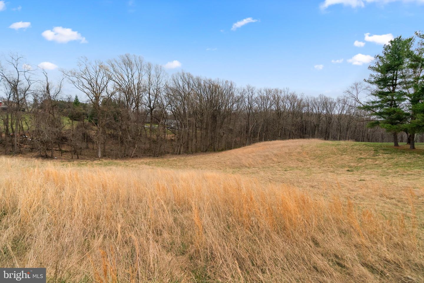 12425 Hill Crst Property Photo 18