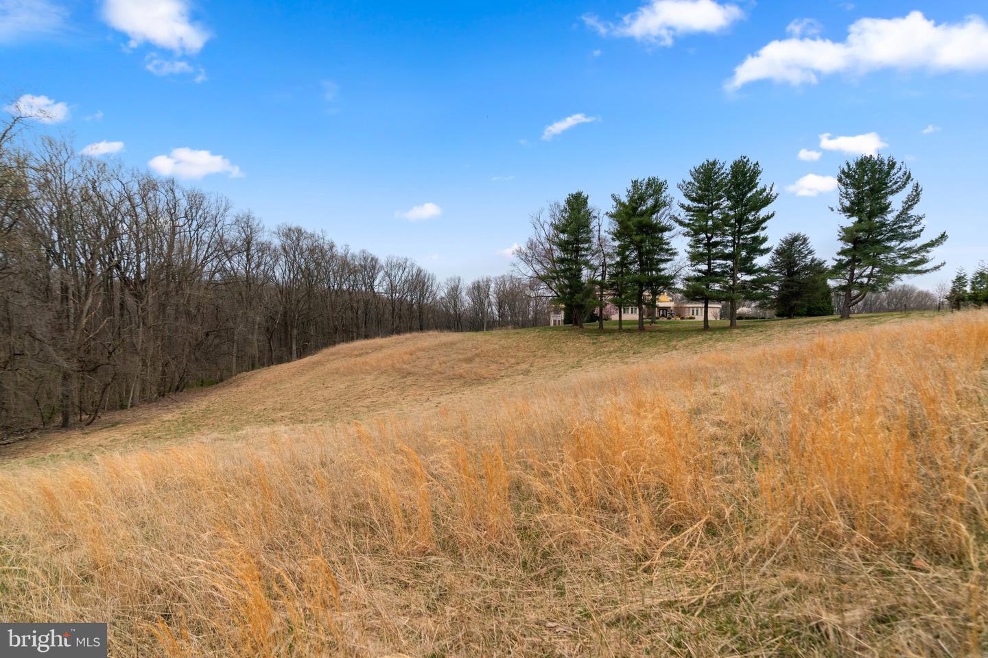 12425 Hill Crst Property Photo 19