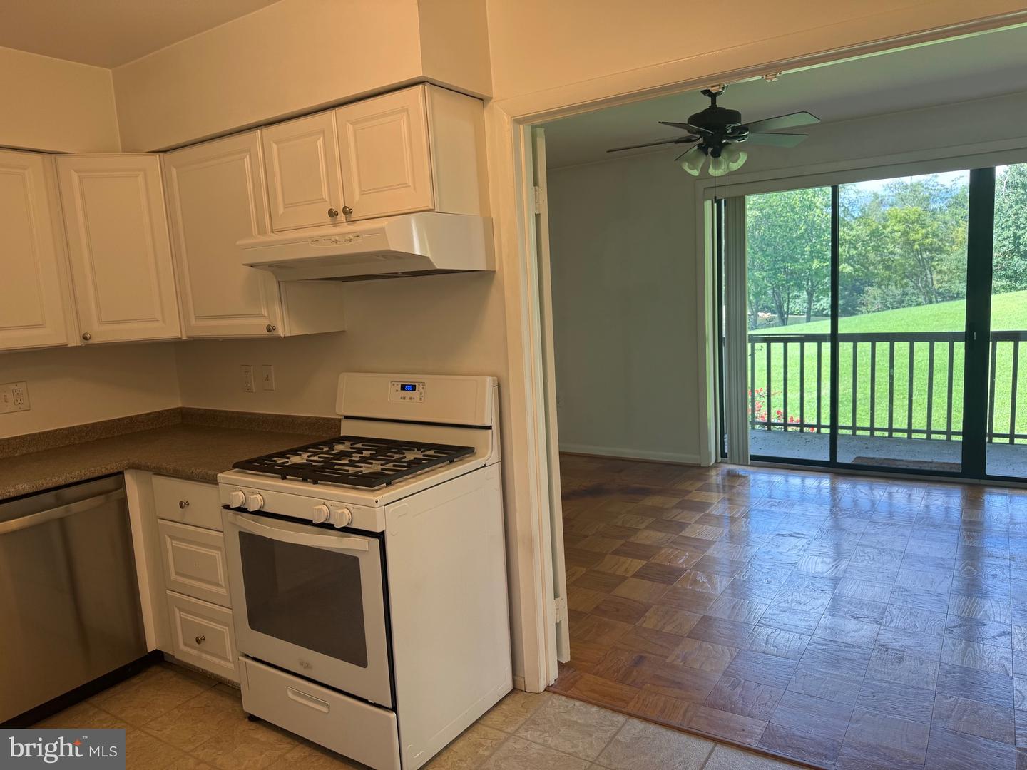 10087 Windstream Dr #4 Property Photo 15