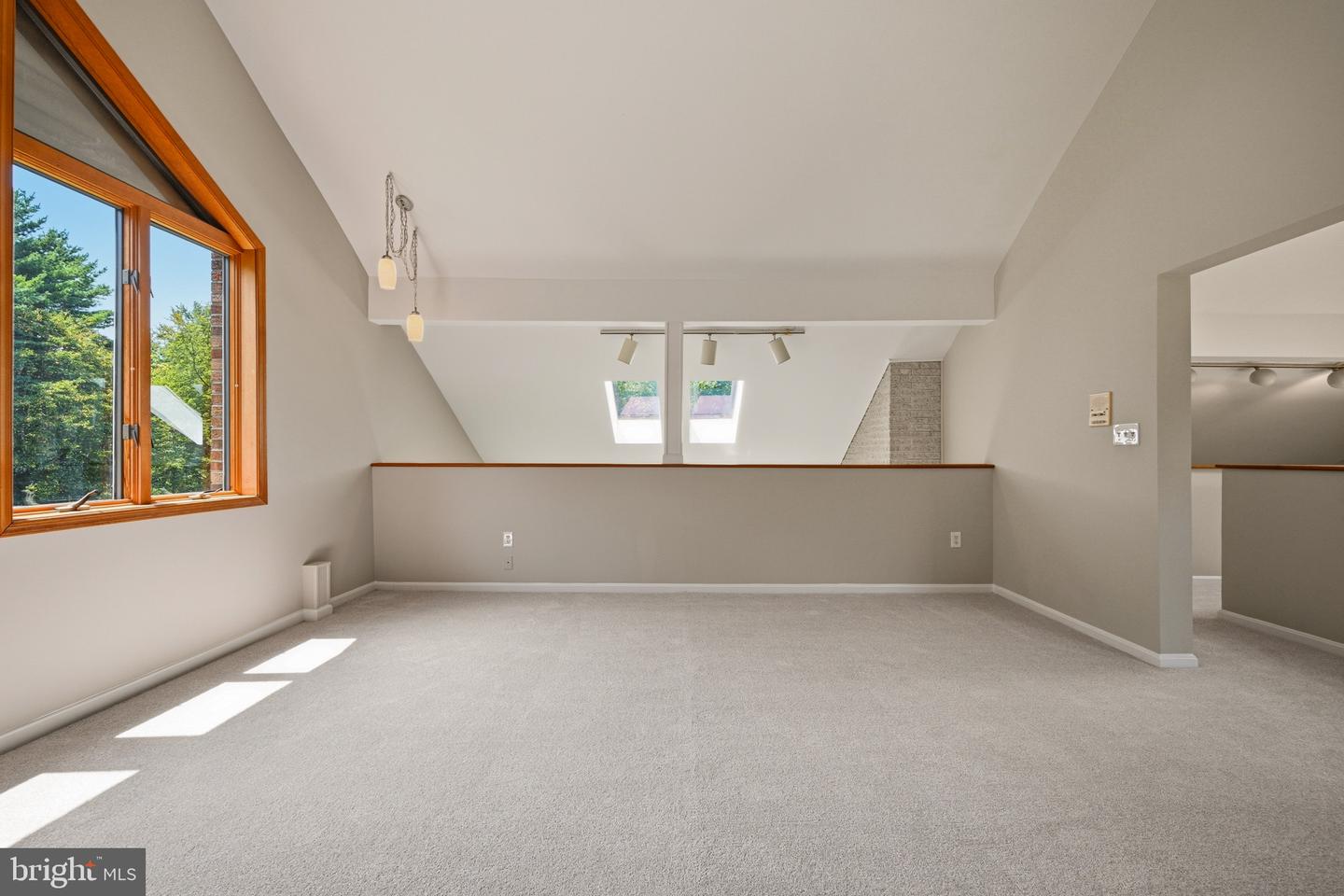 7274 Meadow Wood Way Property Photo 99