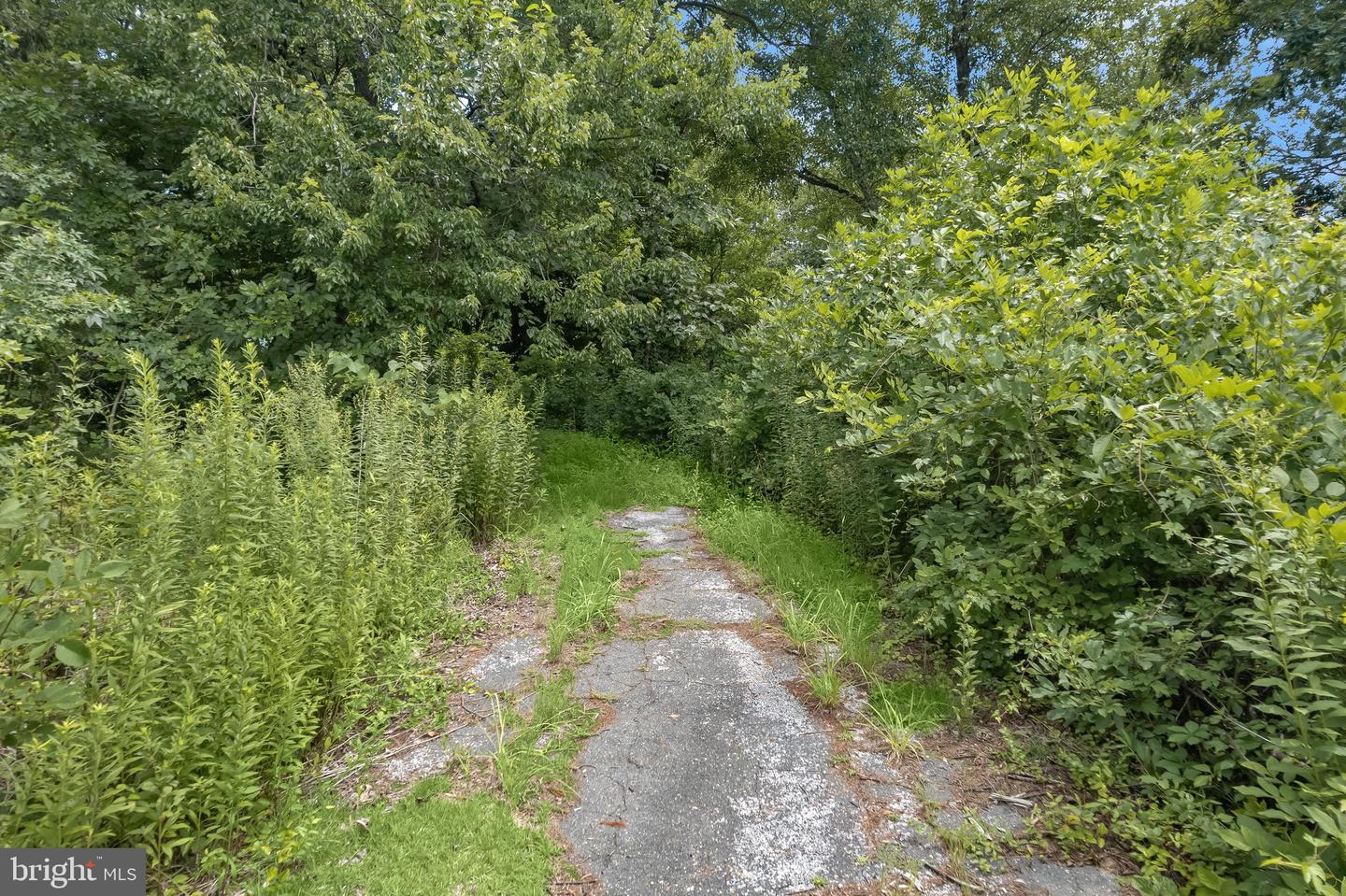 6467 Hanover Rd Property Photo 13