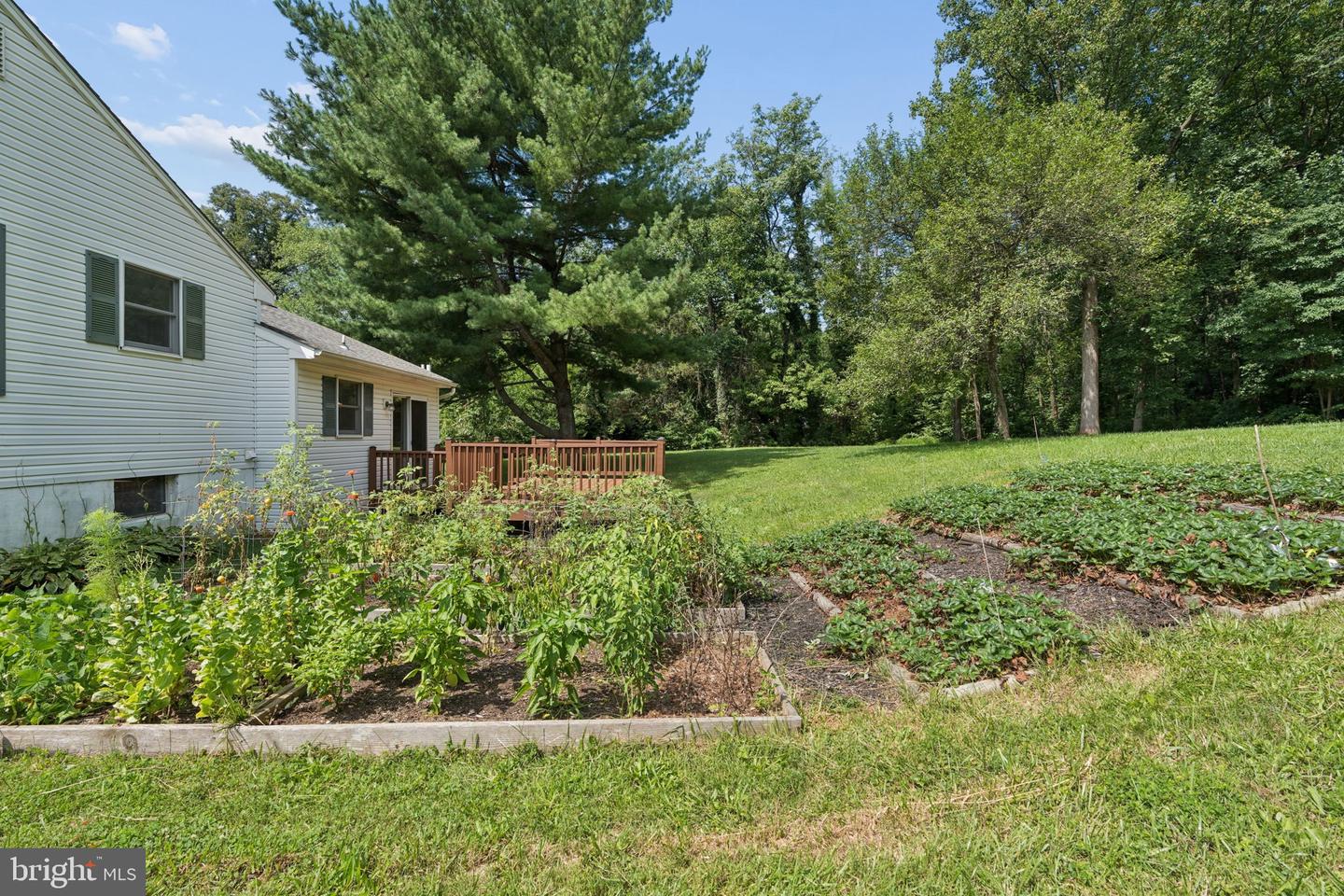 7876 Red Jacket Way Property Photo 37