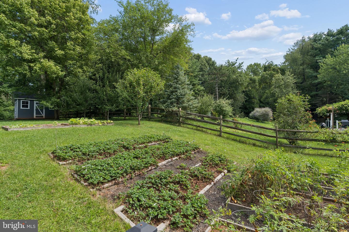 7876 Red Jacket Way Property Photo 39