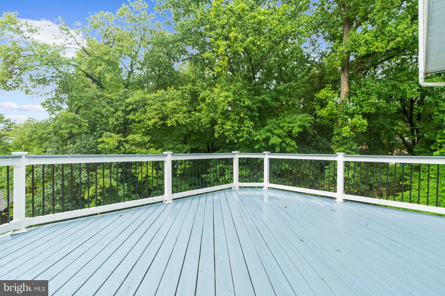 6204 Patuxent Quarter Rd Property Photo 70