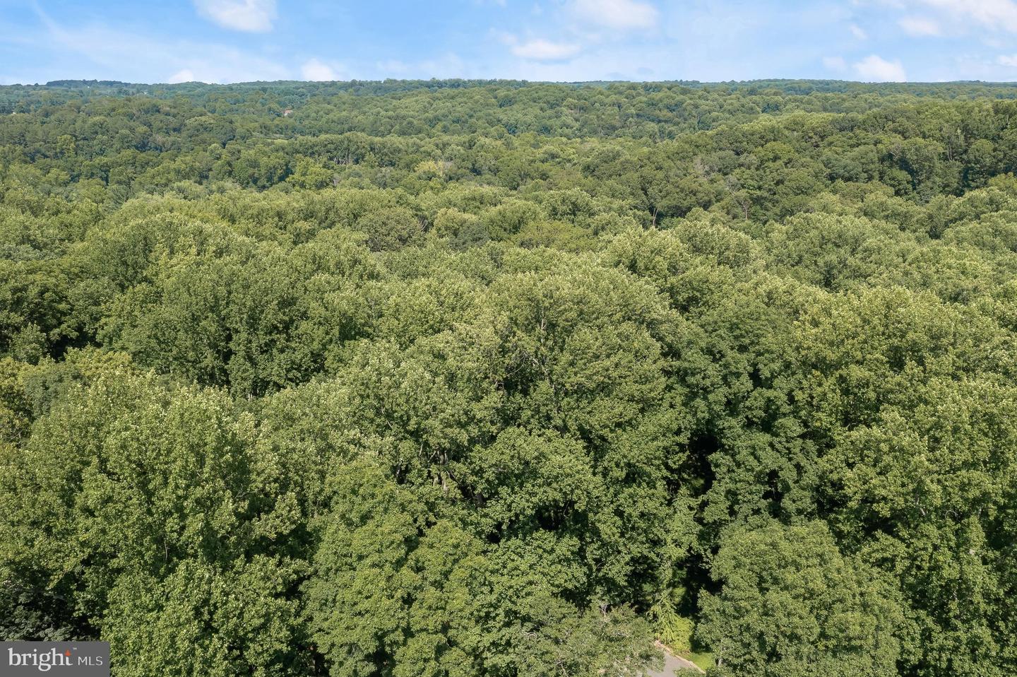 Lot 31 Golden Oak Dr Property Photo 9