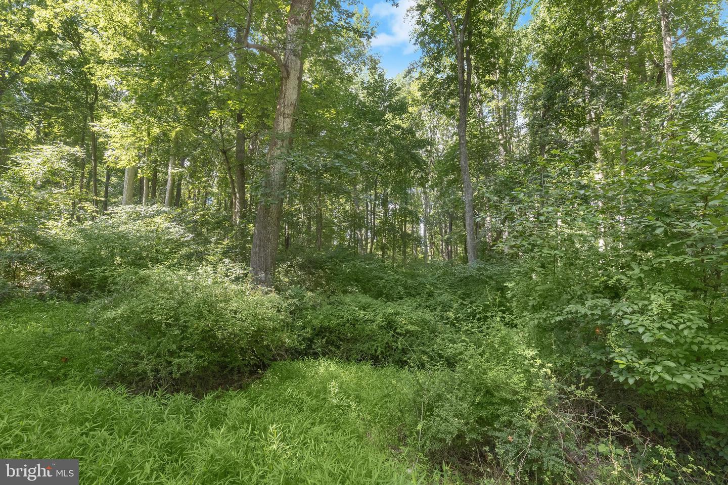 Lot 31 Golden Oak Dr Property Photo 15