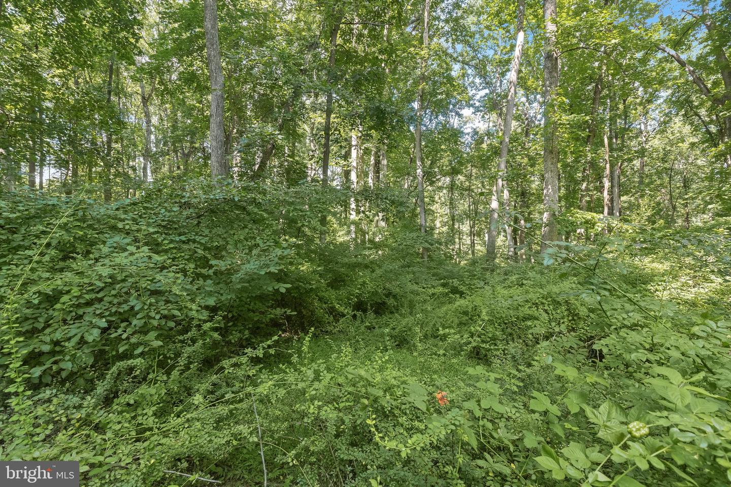 Lot 31 Golden Oak Dr Property Photo 16
