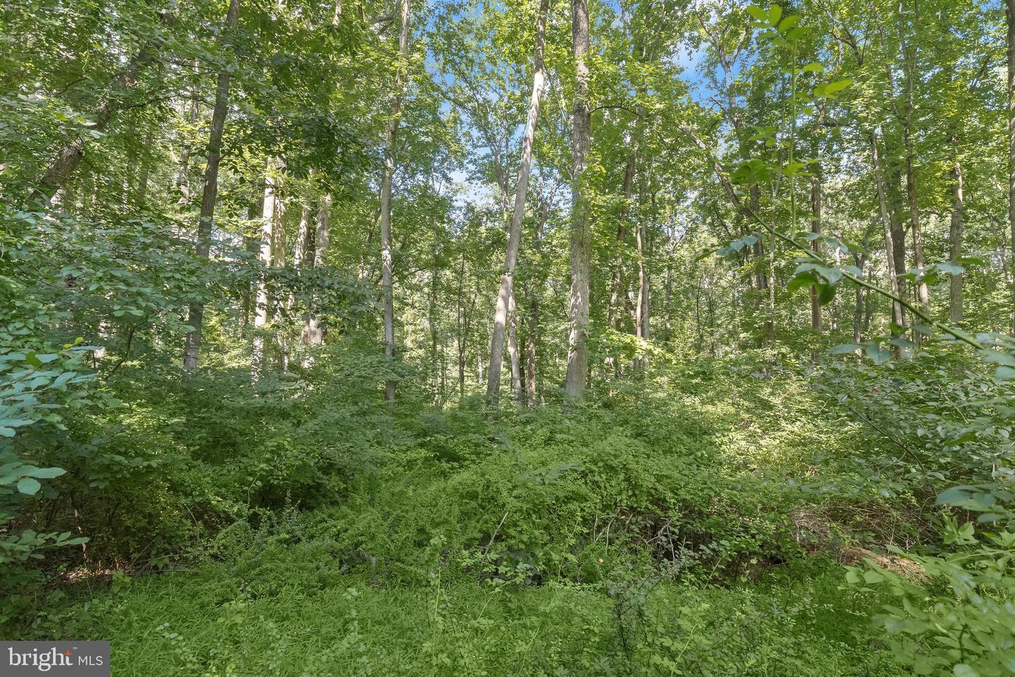 Lot 31 Golden Oak Dr Property Photo 17