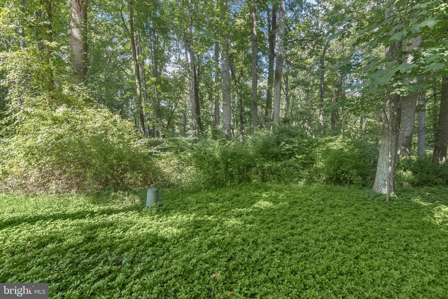 Lot 31 Golden Oak Dr Property Photo 18
