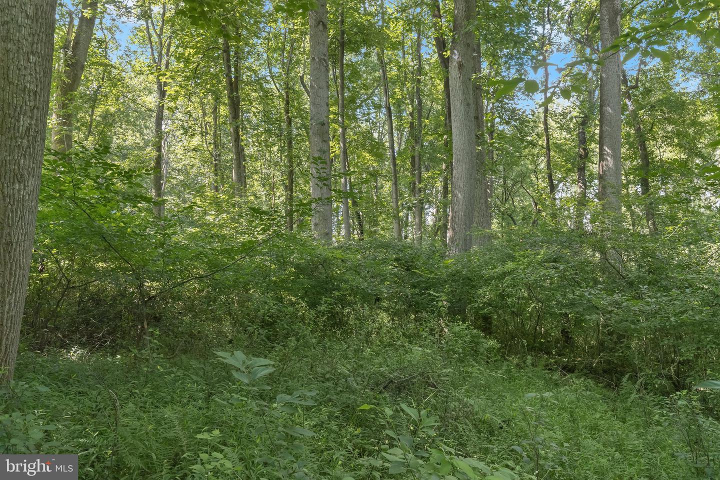 Lot 31 Golden Oak Dr Property Photo 19