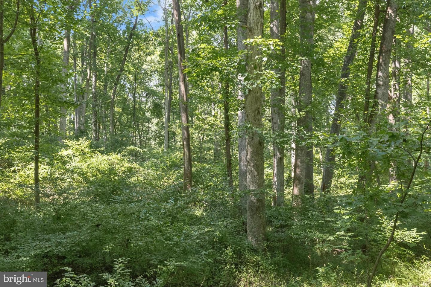 Lot 31 Golden Oak Dr Property Photo 20