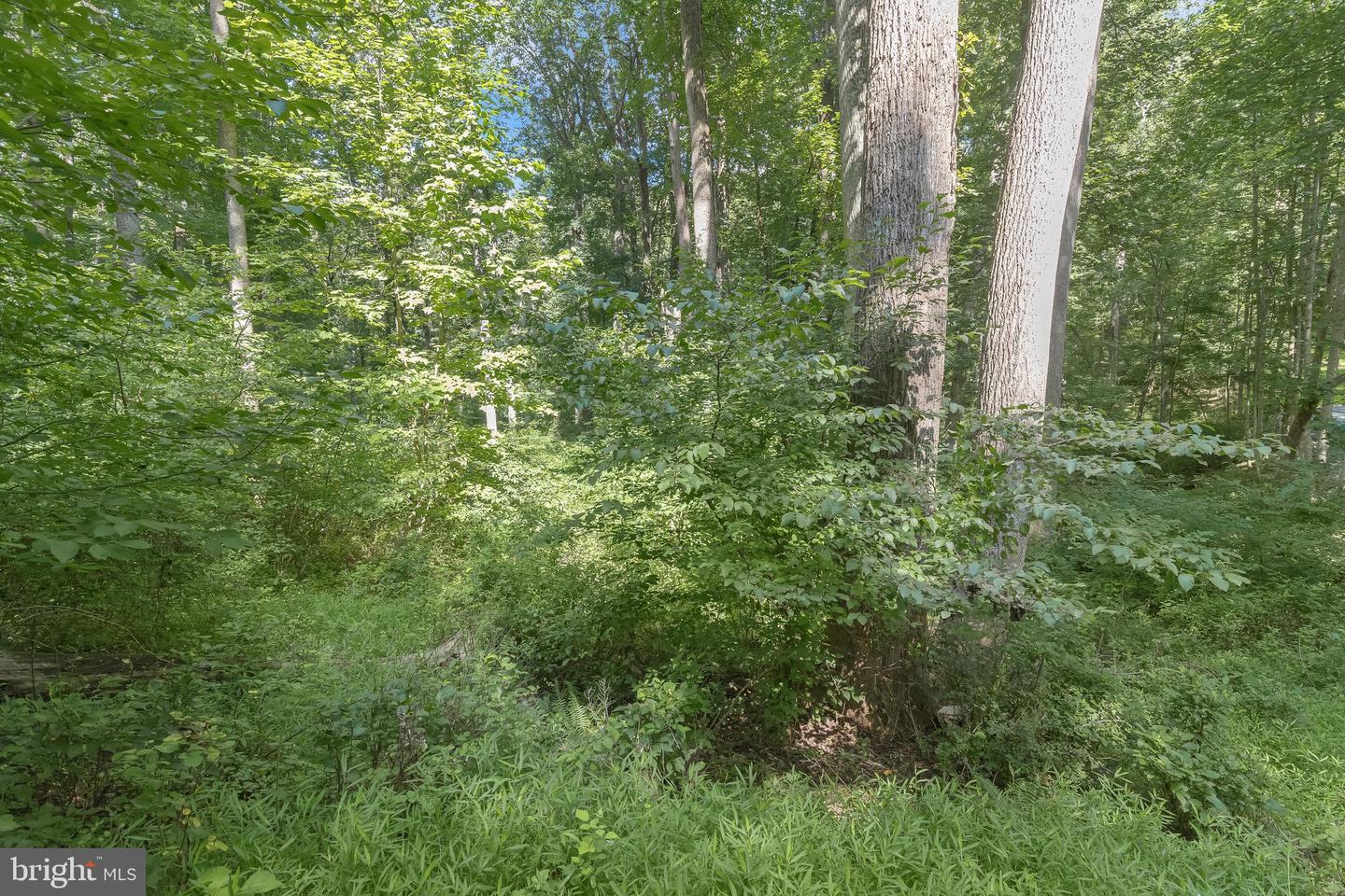 Lot 31 Golden Oak Dr Property Photo 25