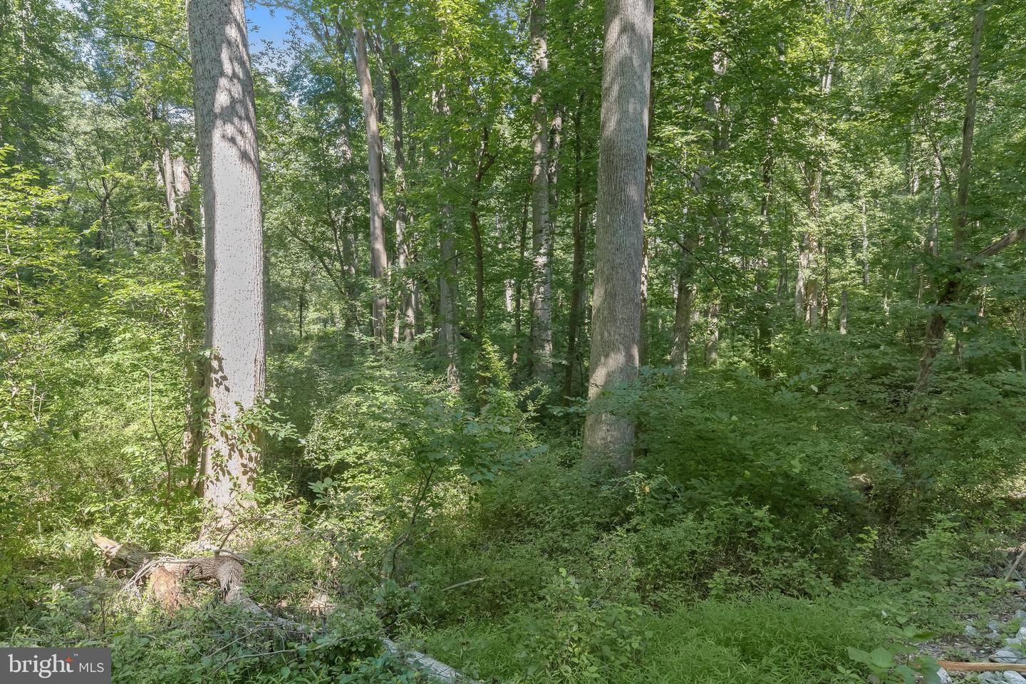 Lot 31 Golden Oak Dr Property Photo 26