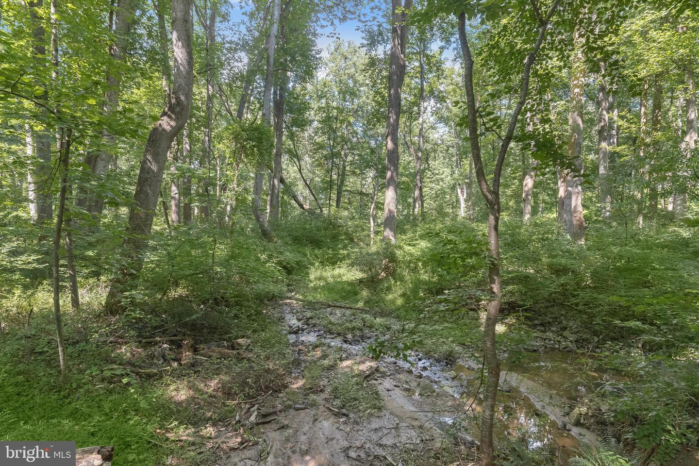 Lot 31 Golden Oak Dr Property Photo 27