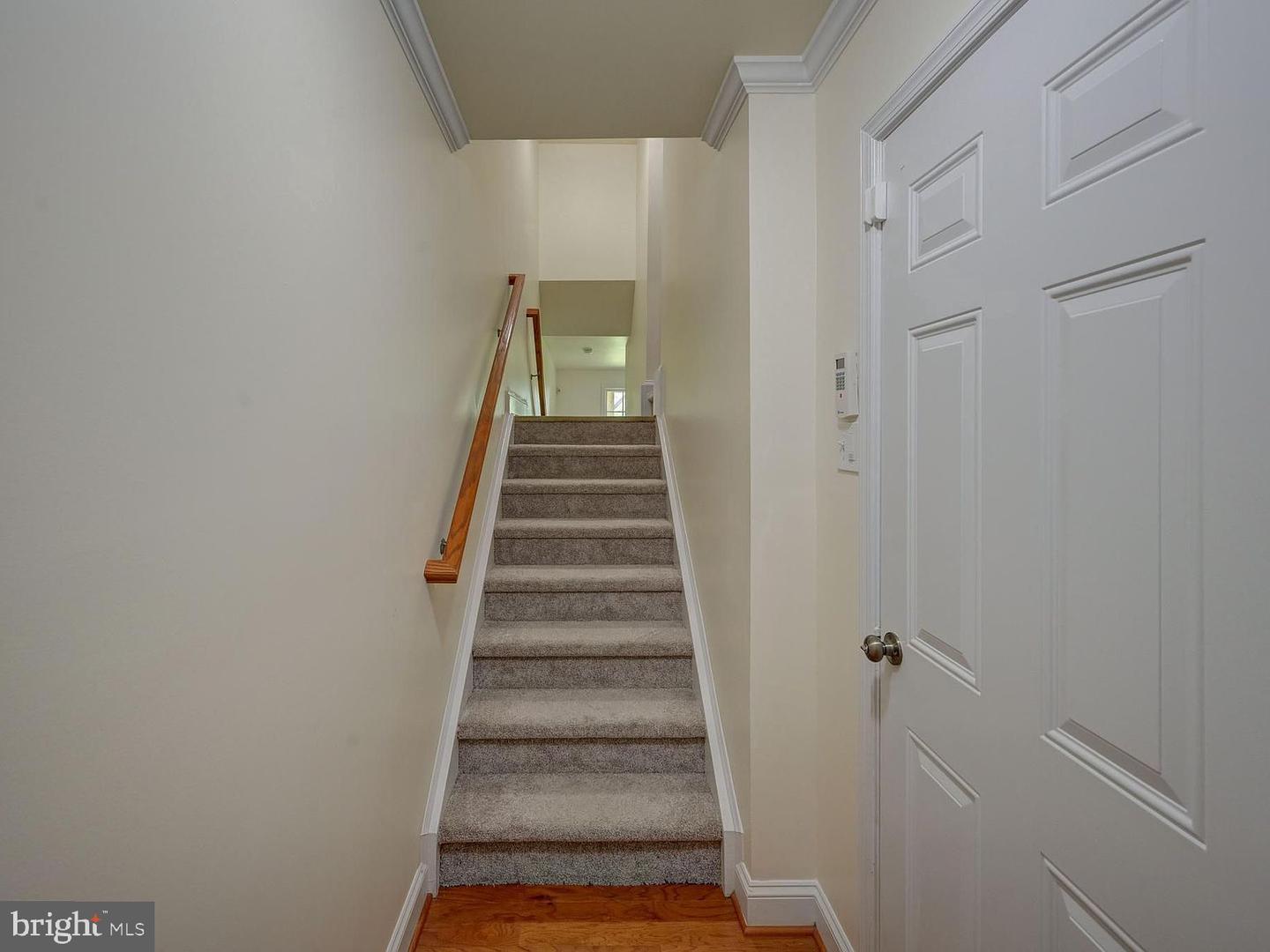 9722 June Flowers Way Property Photo 3