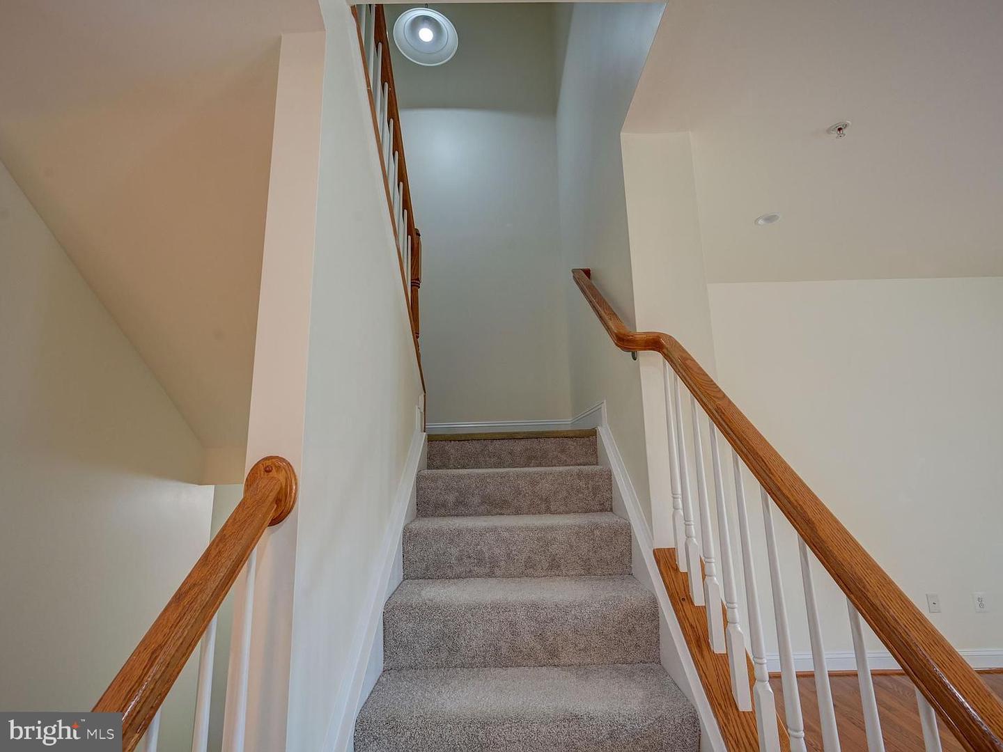 9722 June Flowers Way Property Photo 23