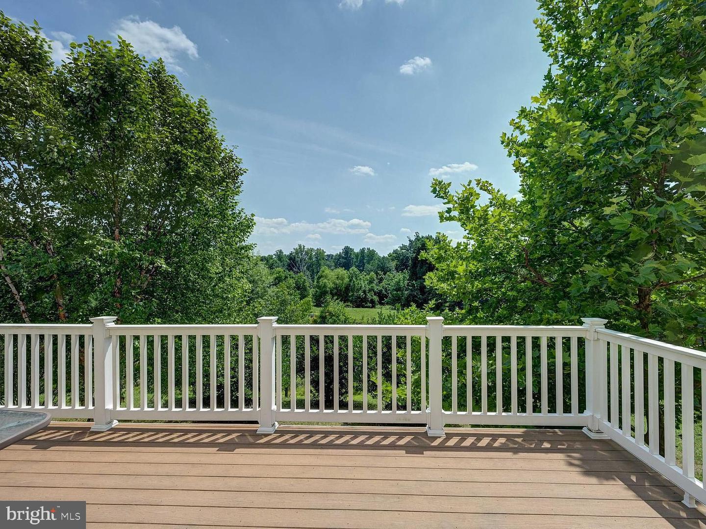 9722 June Flowers Way Property Photo 40