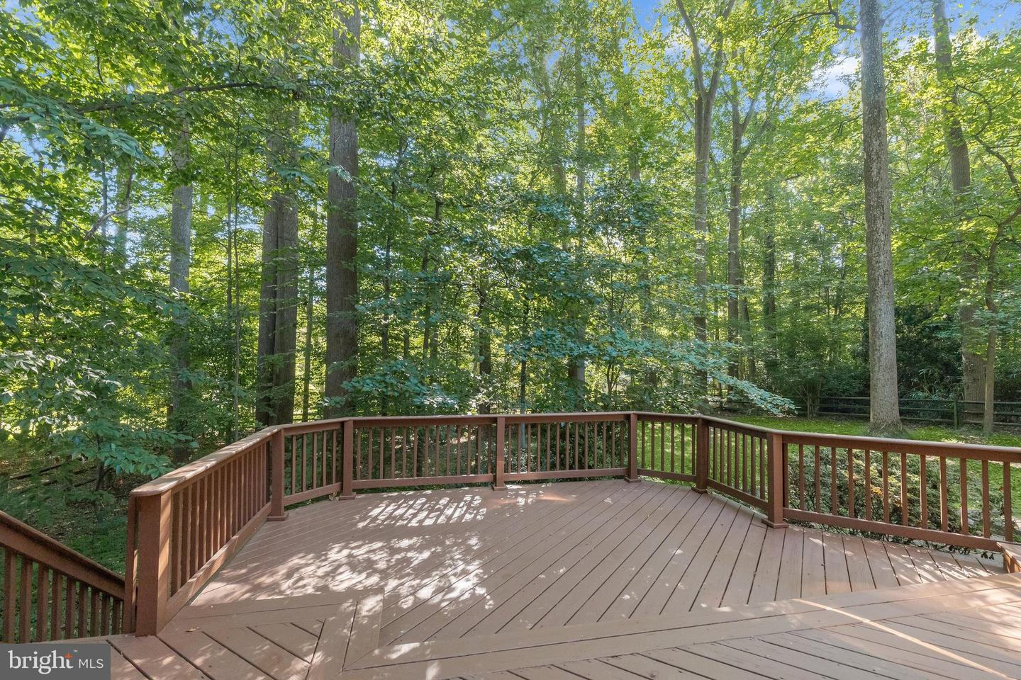 5209 Hesperus Dr Property Photo 60