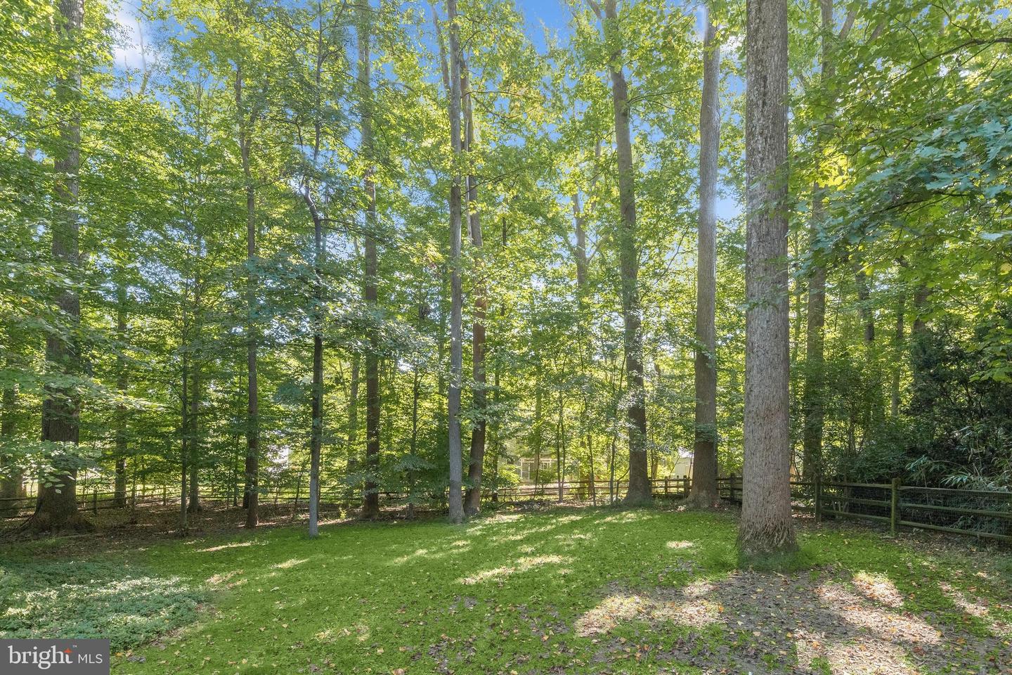 5209 Hesperus Dr Property Photo 64