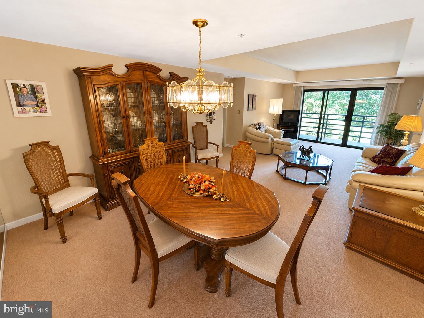 10001 Windstream Dr E #505 Property Photo 12