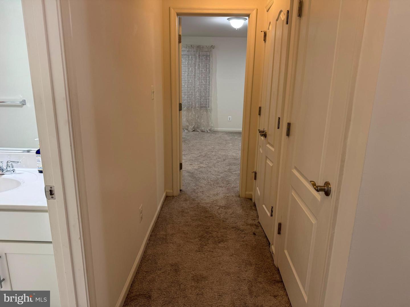 7807 Cherrel Brooks Way Property Photo 18