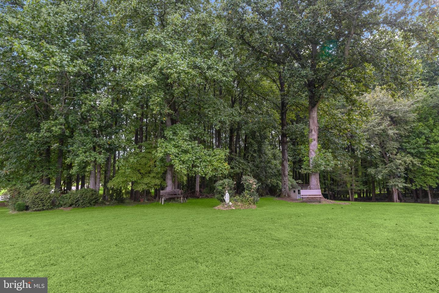7501 Flamewood Dr Property Photo 38