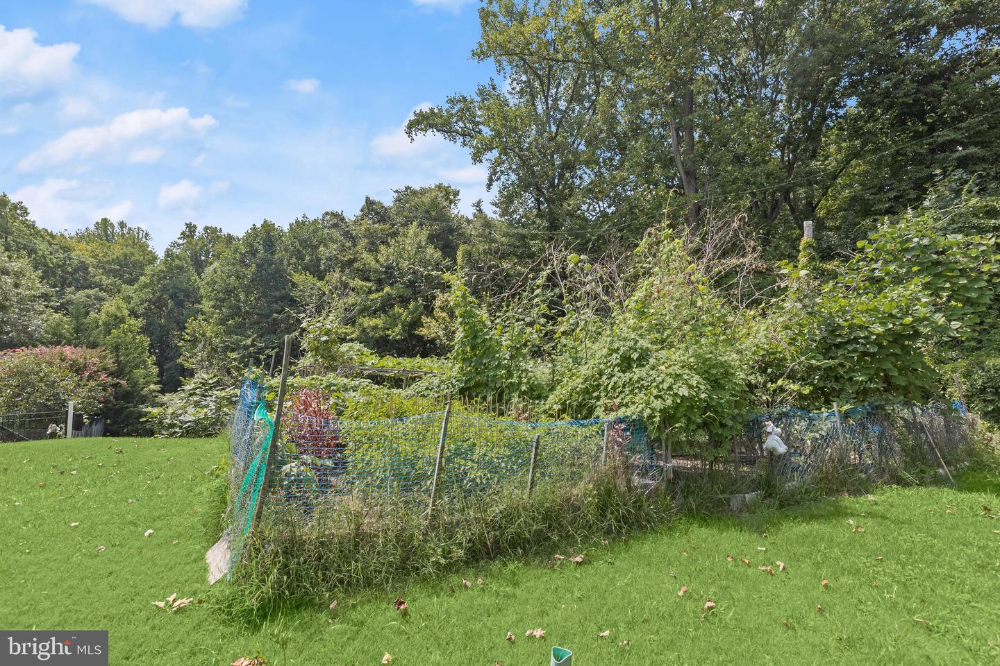 6354 FOREST AVE Property Photo 1