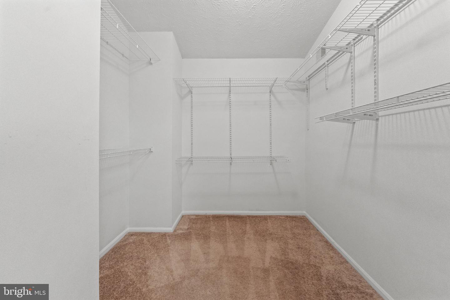 6885 Caravan Ct Property Photo 39