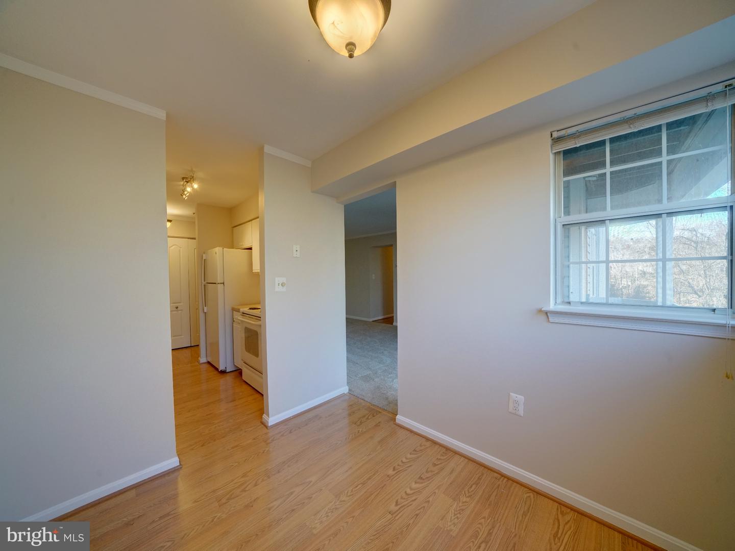 8513 Falls Run Rd #f Property Photo 9