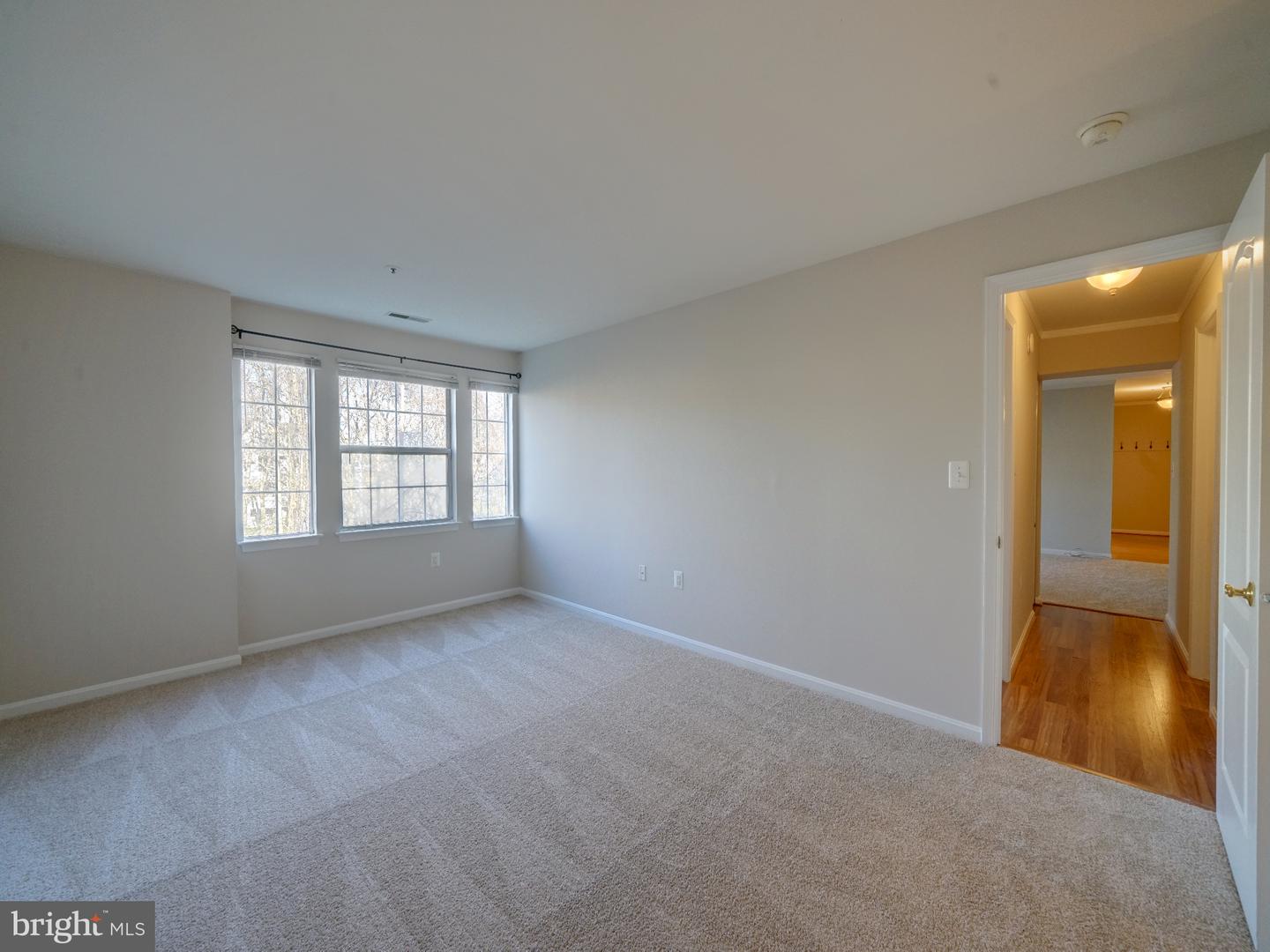 8513 Falls Run Rd #f Property Photo 22