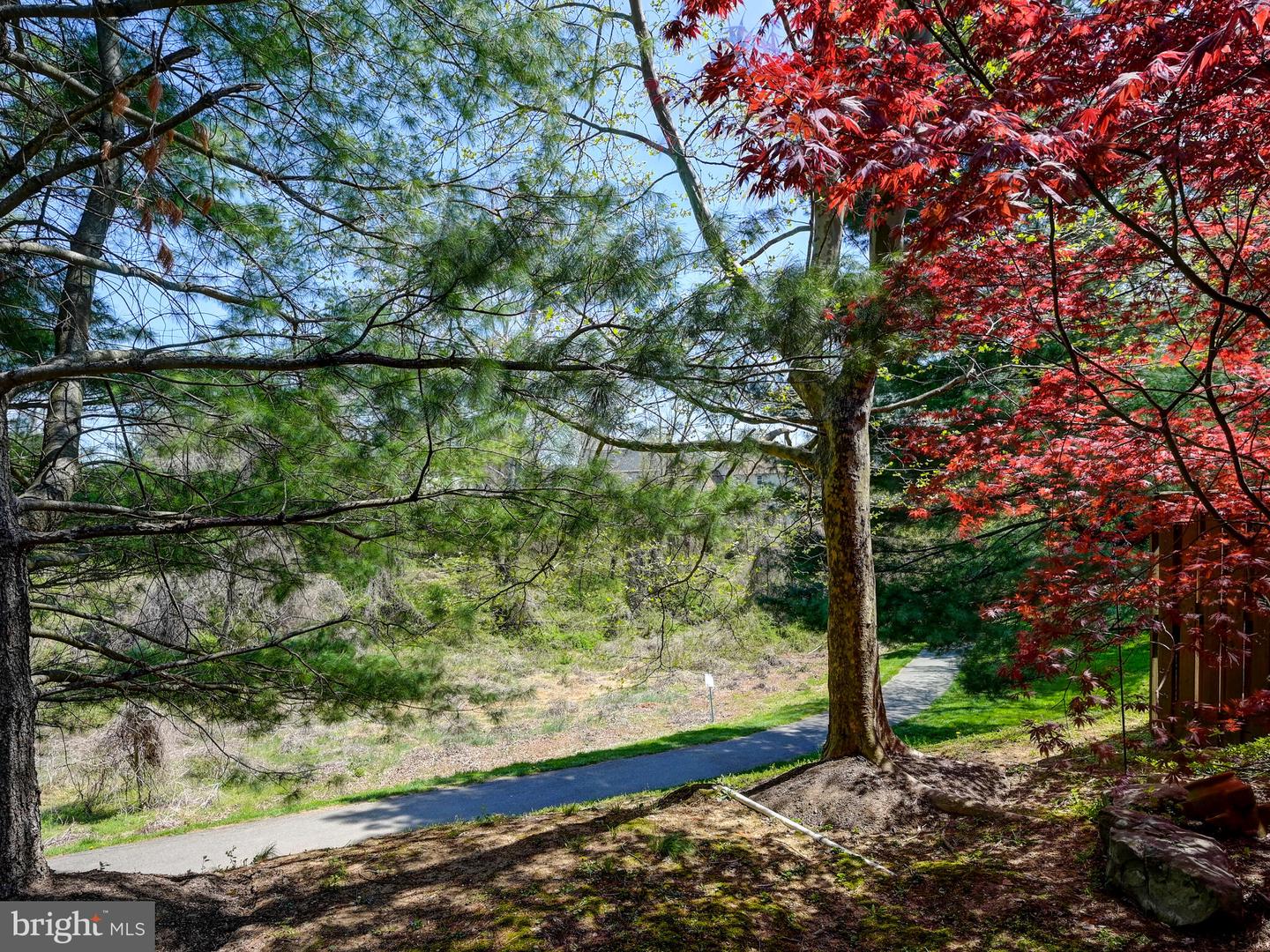 6311 Wind Rider Way Property Photo 42