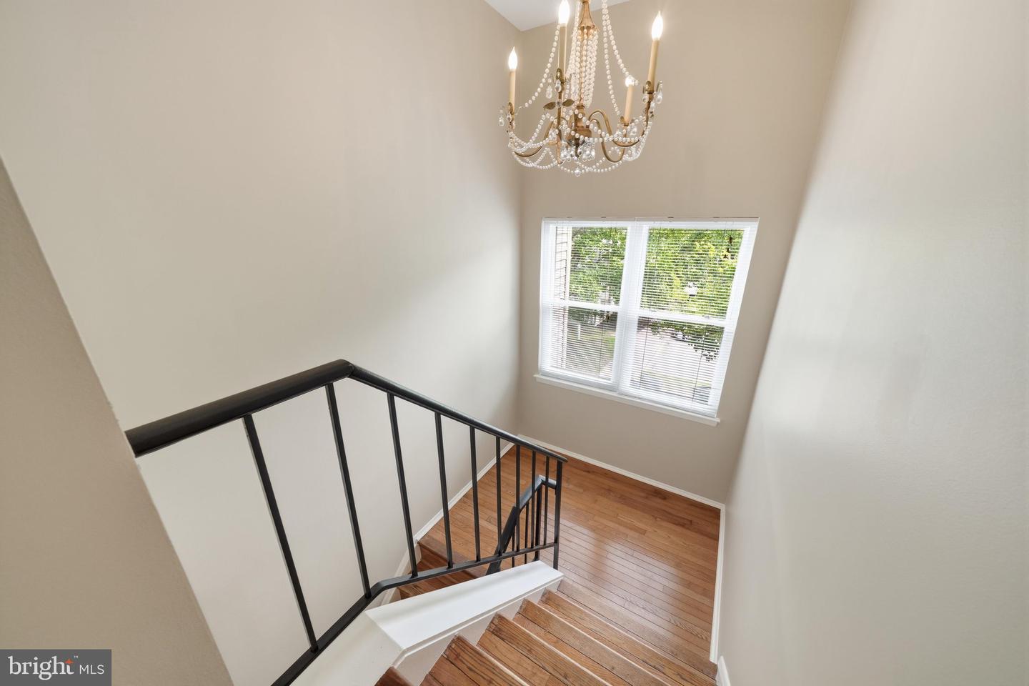 8214 Tall Trees Ct Property Photo 27