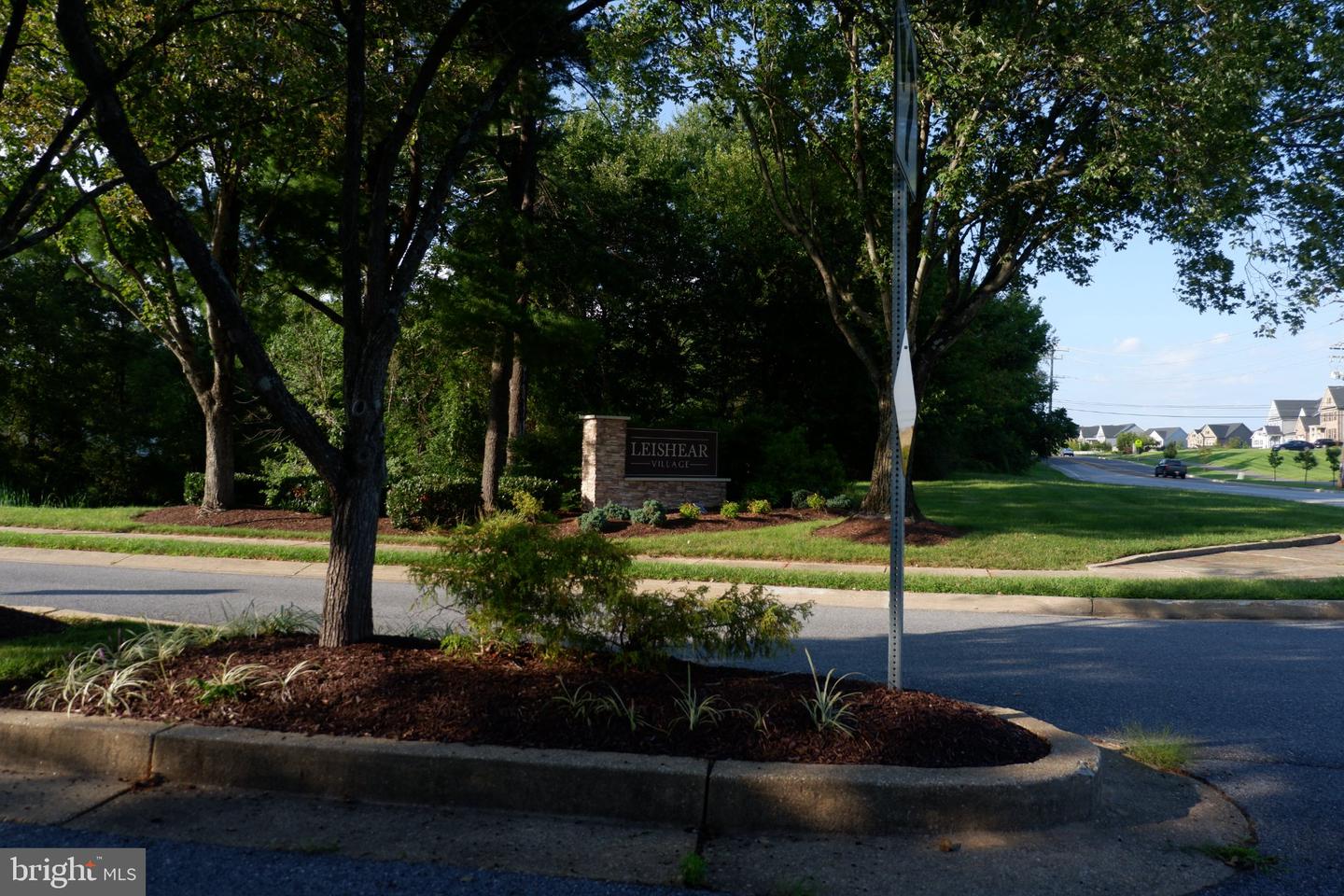 8284 Mary Lee Ln Property Photo 41