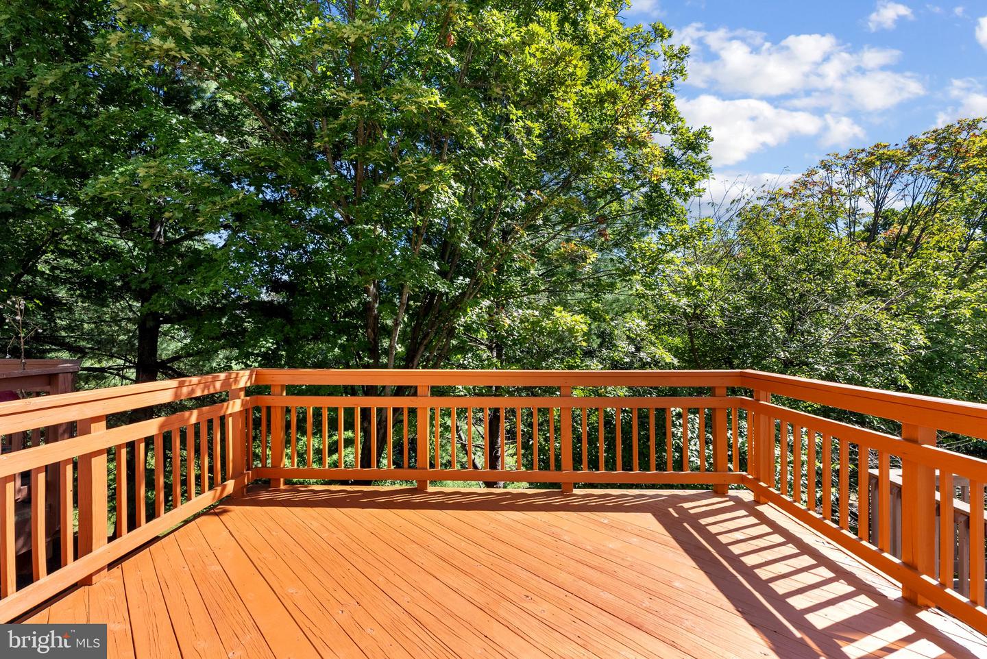 6349 Wind Rider Way Property Photo 38